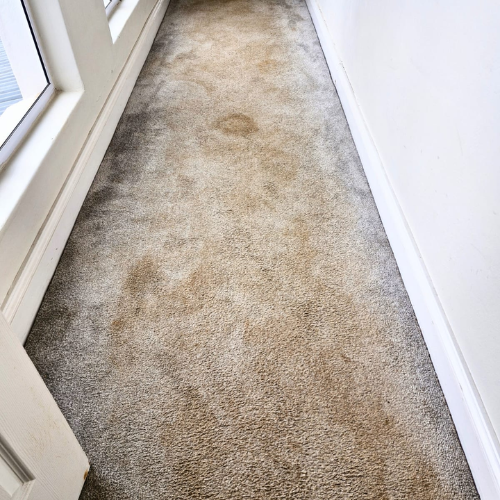 carpet cleaning (2) carpet cleaning (2)