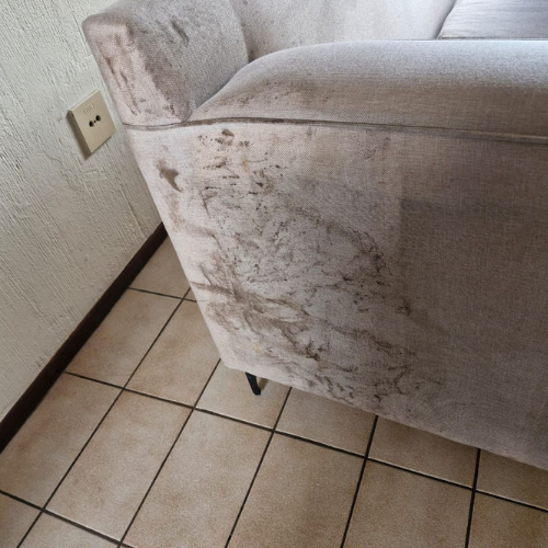 couch cleaning (1) couch cleaning (1)